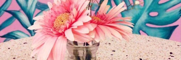 Dewicious_'s profile banner image