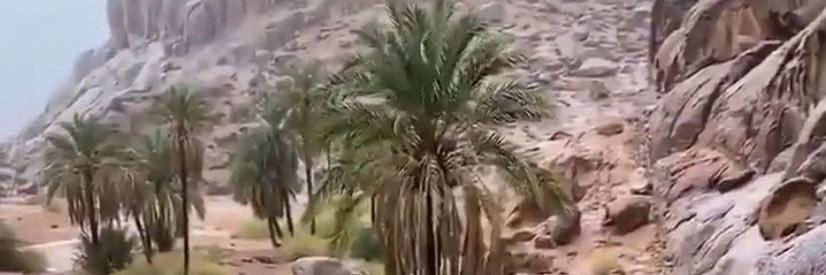 سعود العنزي banner