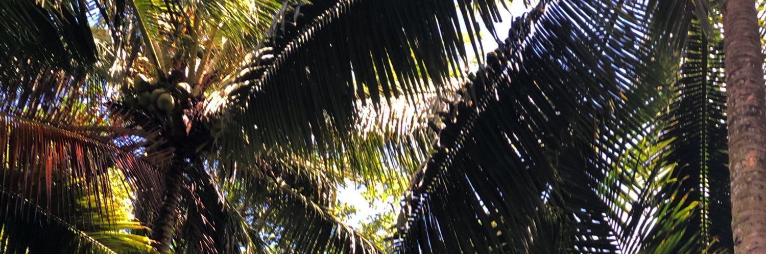 sheilaghaibi's profile banner image