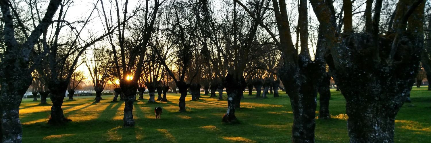 pathiinia's profile banner image