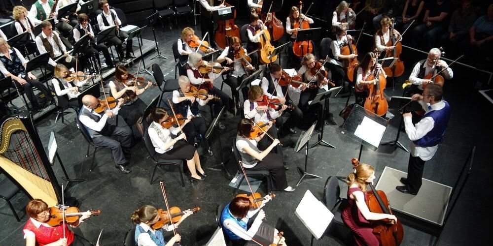 Cobweb Orchestra banner