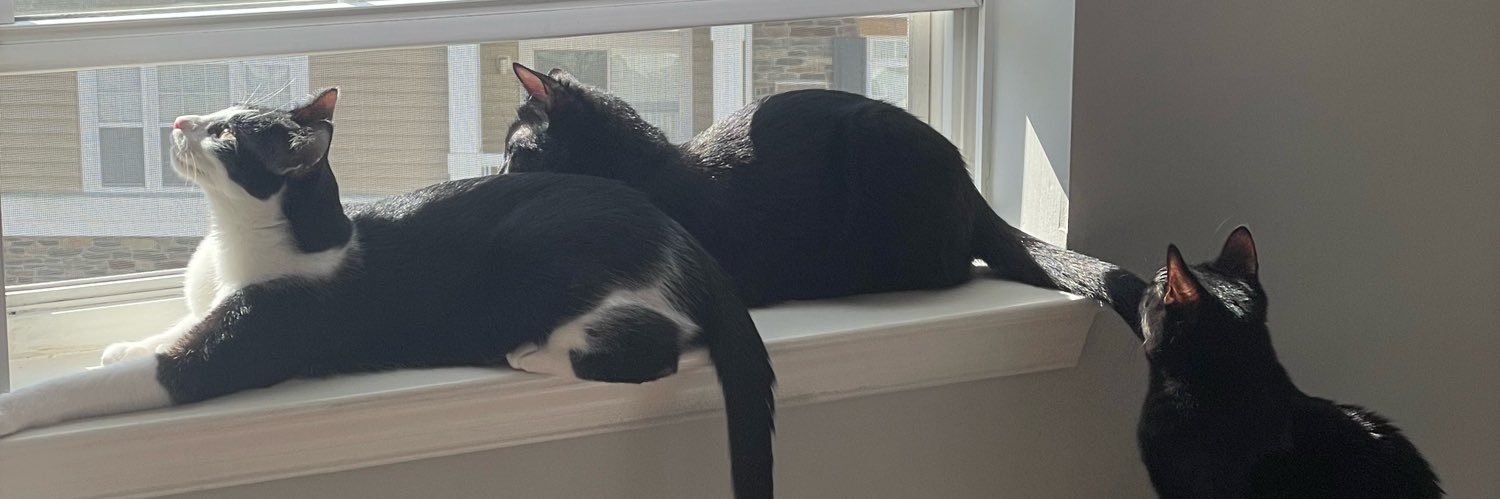 catfacts_ow's profile banner image