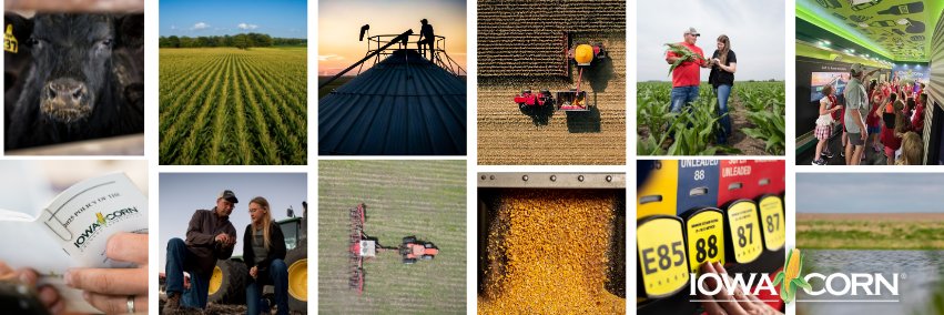 Iowa Corn banner