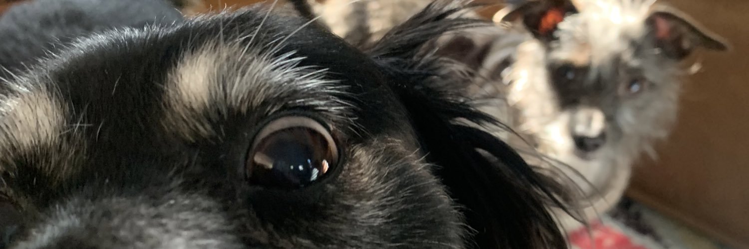 StevMiller's profile banner image