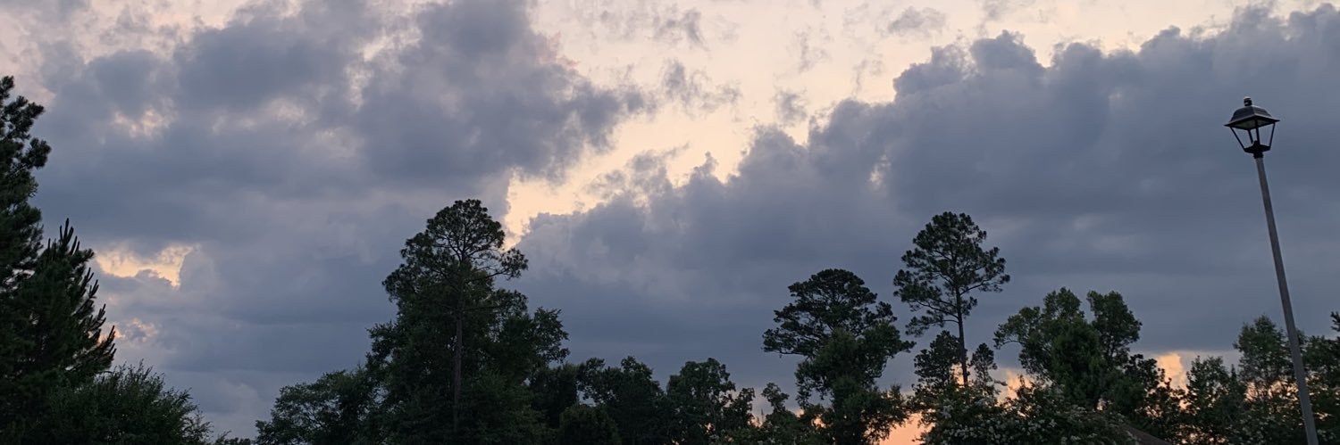 allswellkid's profile banner image