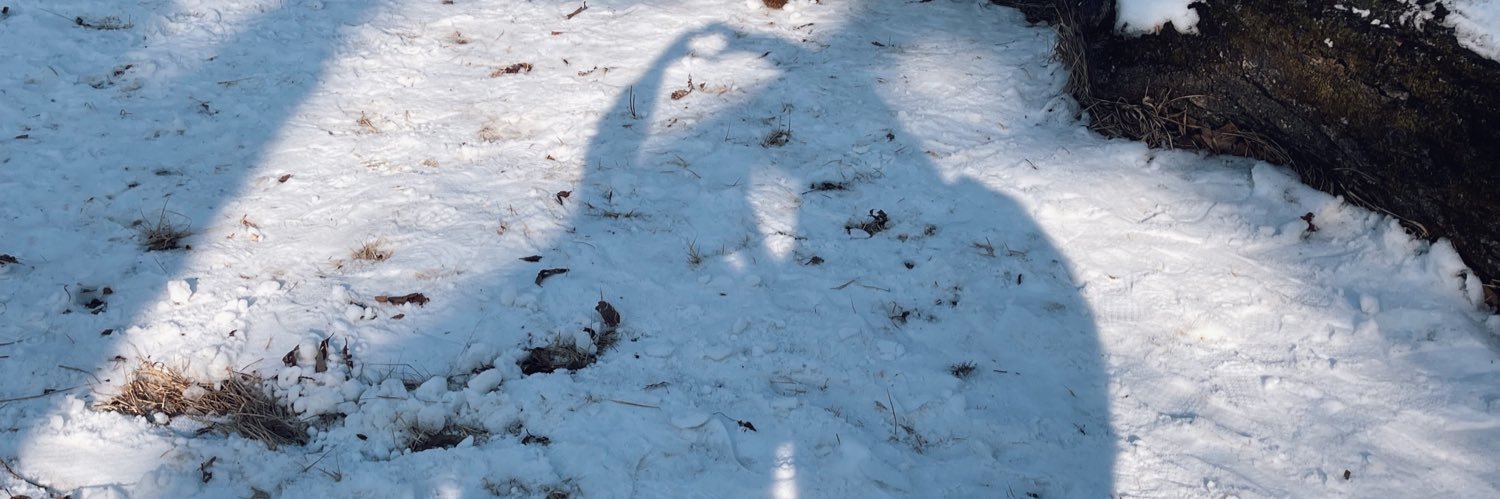 melissatan21_'s profile banner image