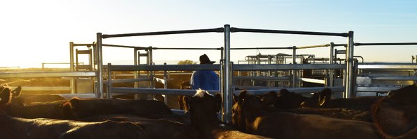 ProWay2000 Profile Banner