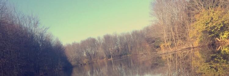 beamer1314's profile banner image