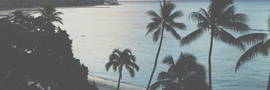 R_09_C's profile banner image