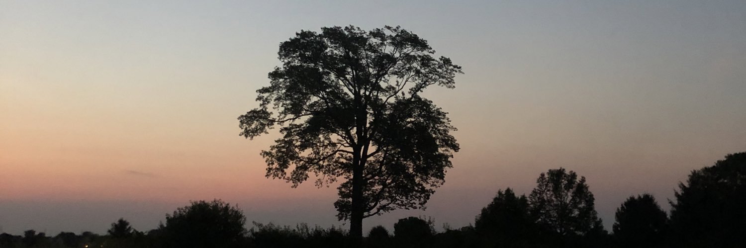 lexytaylorrr's profile banner image