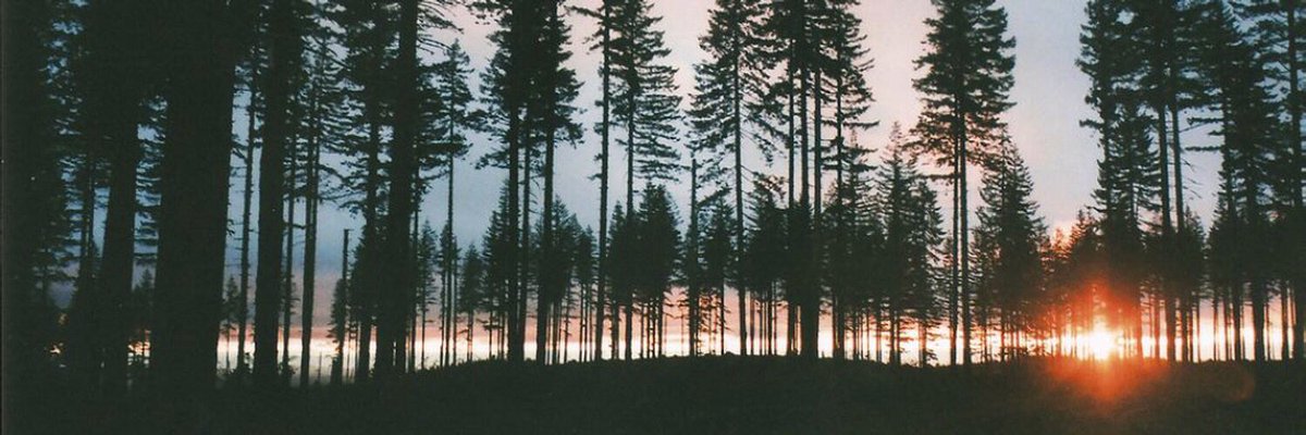 omer_terzioglu's profile banner image