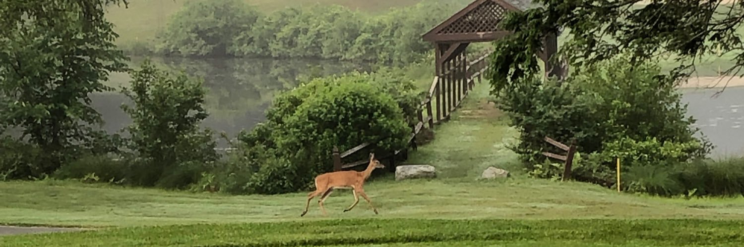 Kevin Richards banner