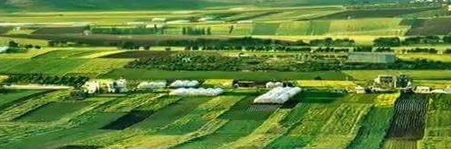 მჩմ zყმძ banner