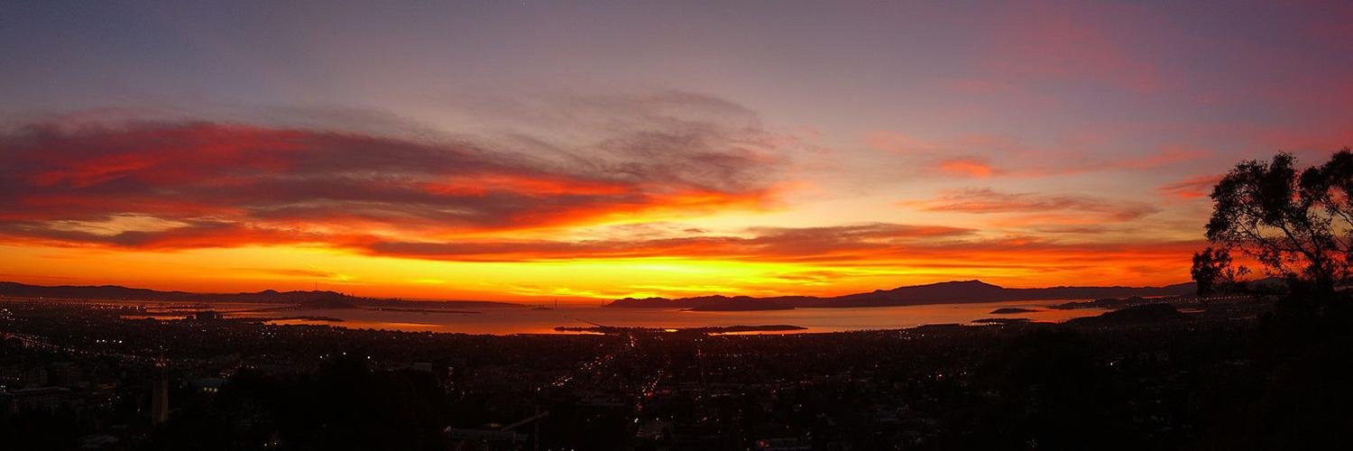 Jason Forrest banner