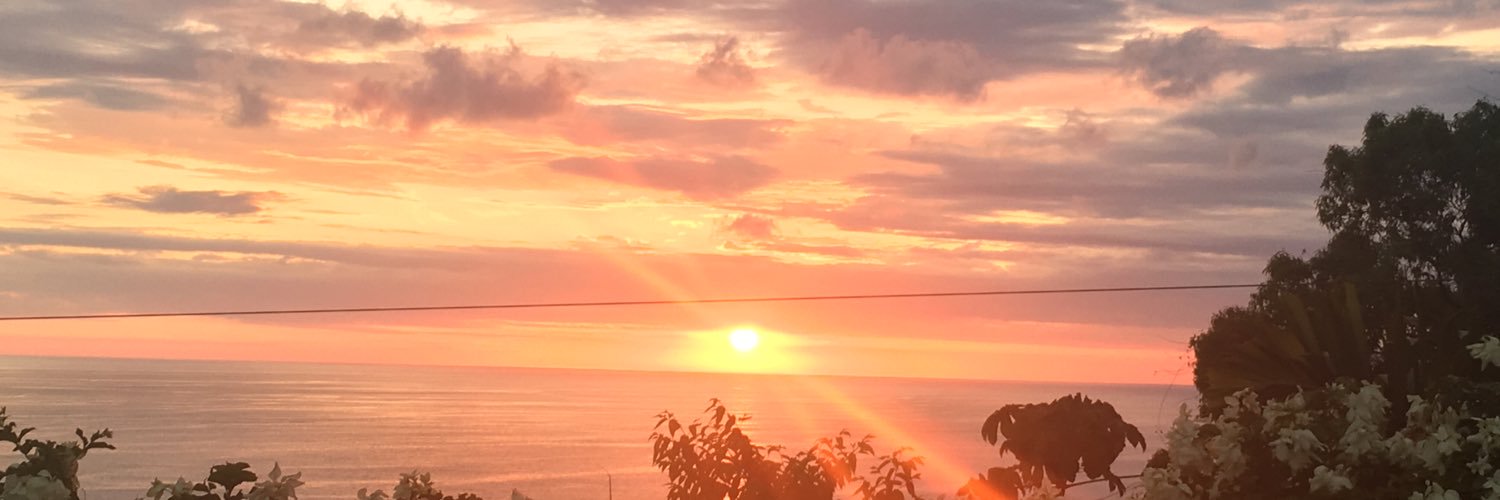 AmyLThran's profile banner image