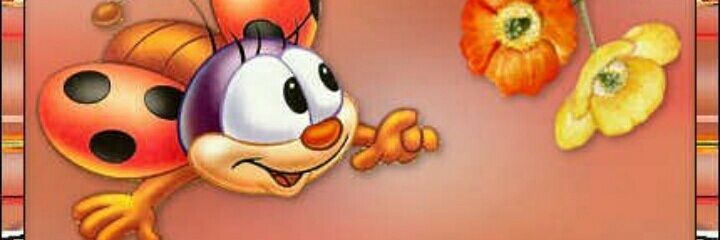 vicmer13's profile banner image