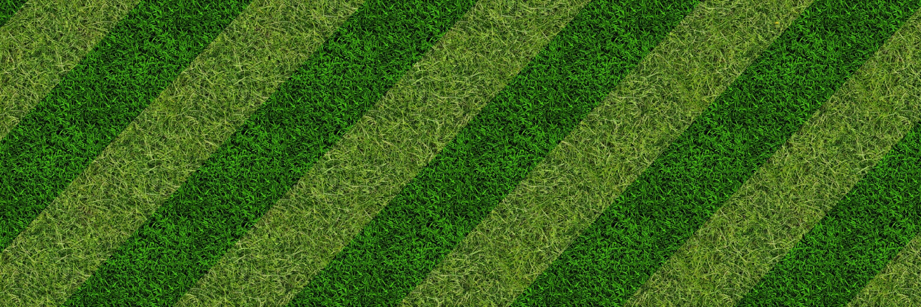 ArcSportUNSW's profile banner image