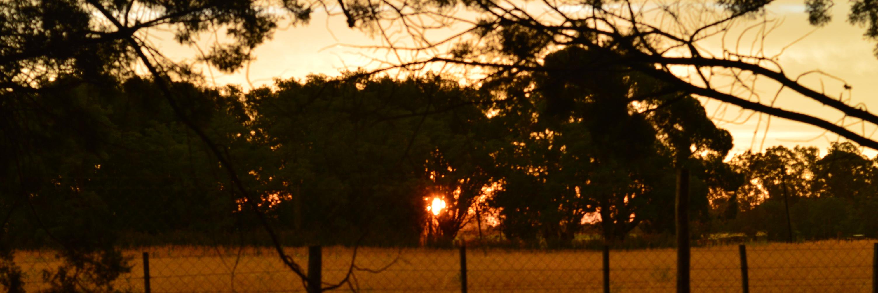 aguustortini's profile banner image