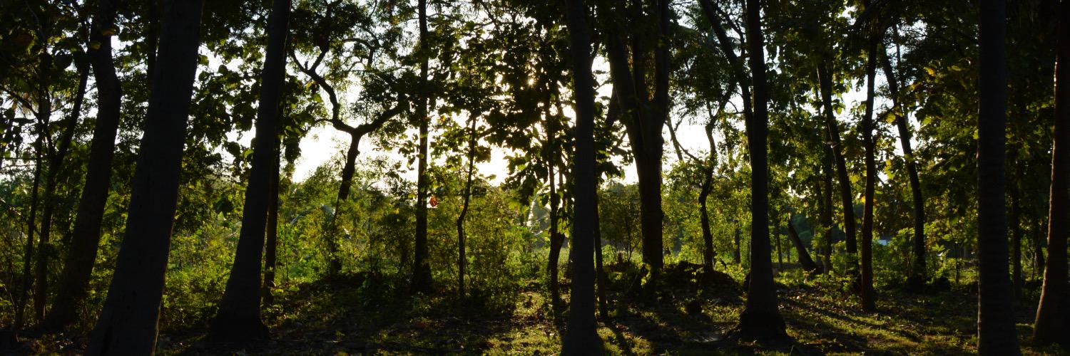 supermaniam's profile banner image