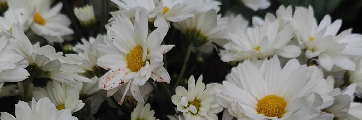 nsbaires's profile banner image