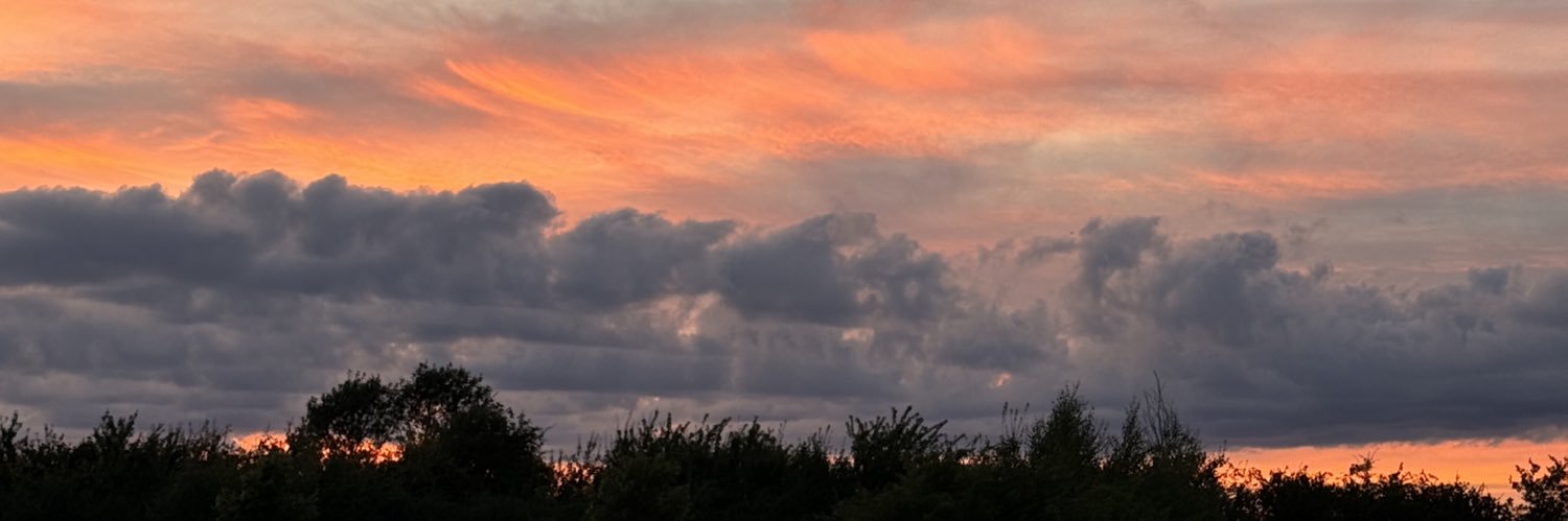 Tjpx's profile banner image