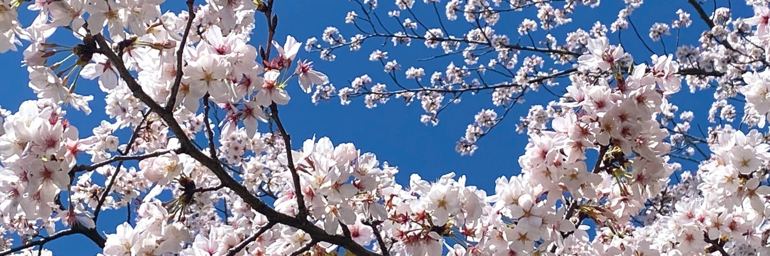 和紙 banner