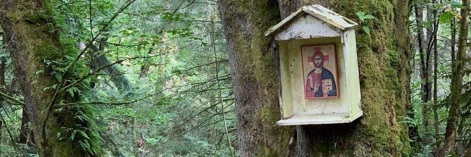 Charles Costilow 🌲 banner