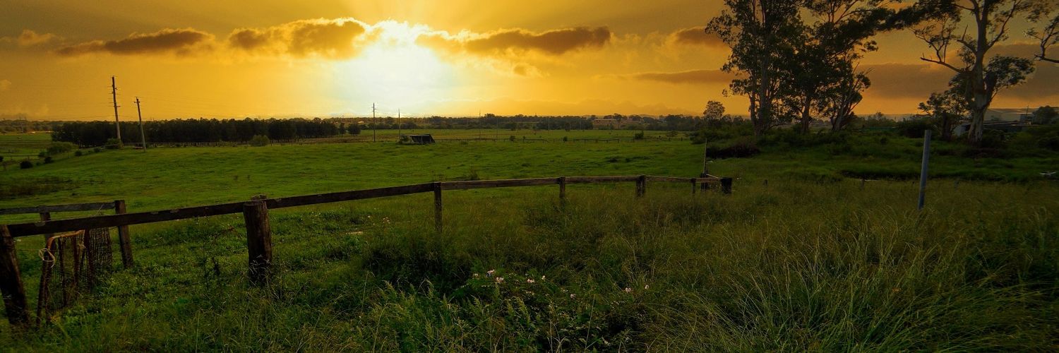 ErandaArt's profile banner image