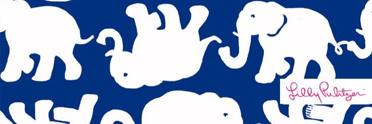 CarolineaCyr's profile banner image