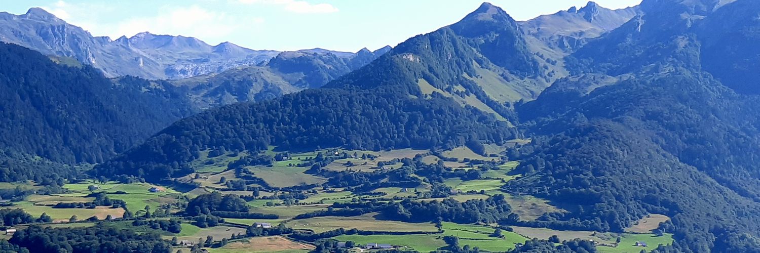 Fernandezy69's profile banner image