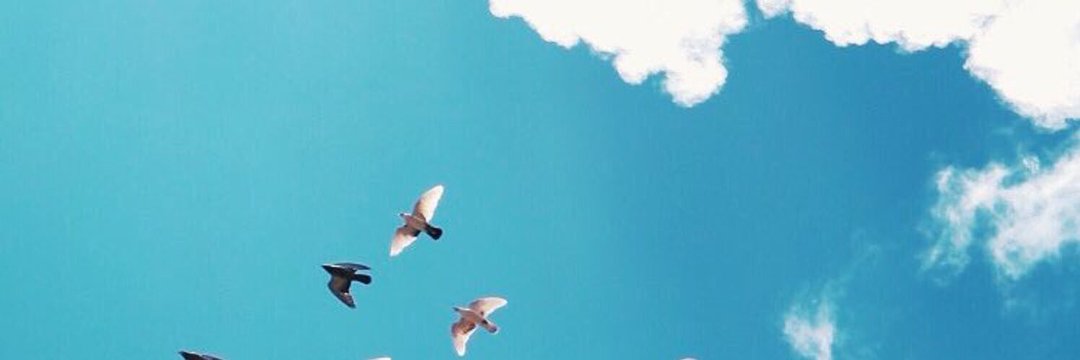 Bashayer 🌼🇰🇼 banner