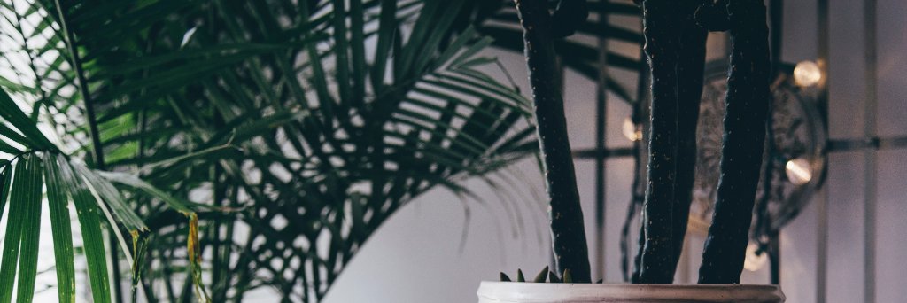Ruth_Watson_'s profile banner image