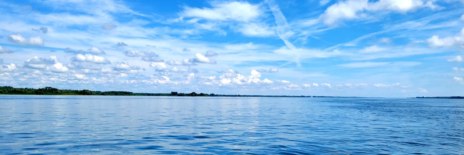 Amy Kennedy (she/her) banner