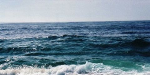 Dominique . banner