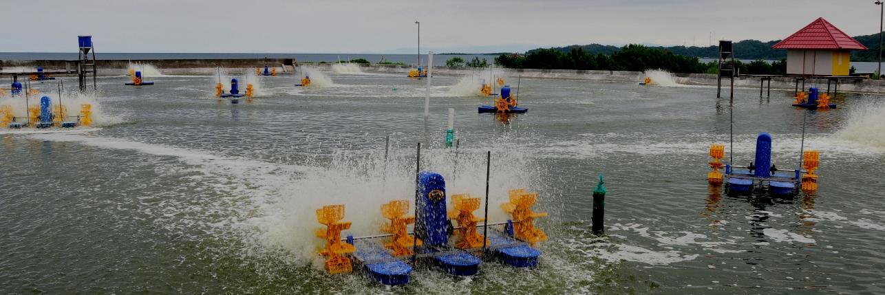 Budidaya KKP (DJPB) banner