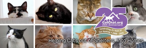 catchatcharity Profile Banner