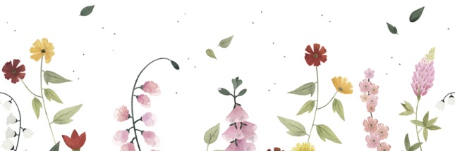 celinehermans's profile banner image