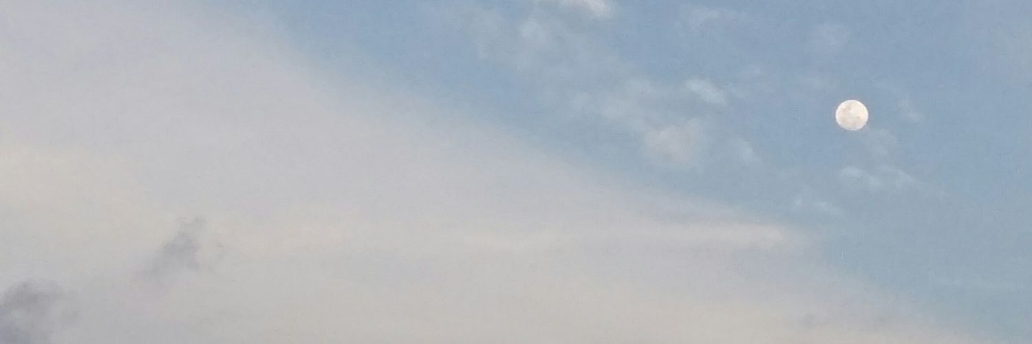𝑫𝒆𝒘🌷🫧 banner