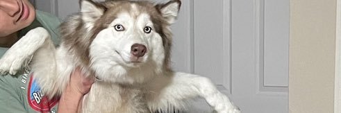 fazechalupa433's profile banner image