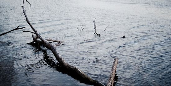 Inked_Domonick's profile banner image