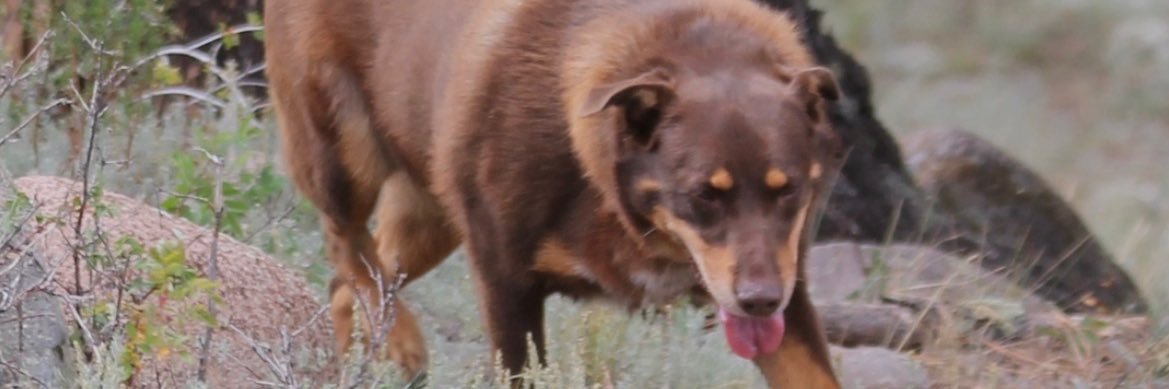 OKCtripp's profile banner image