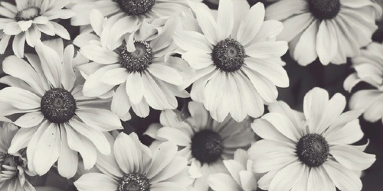 MariaaMariiaa's profile banner image
