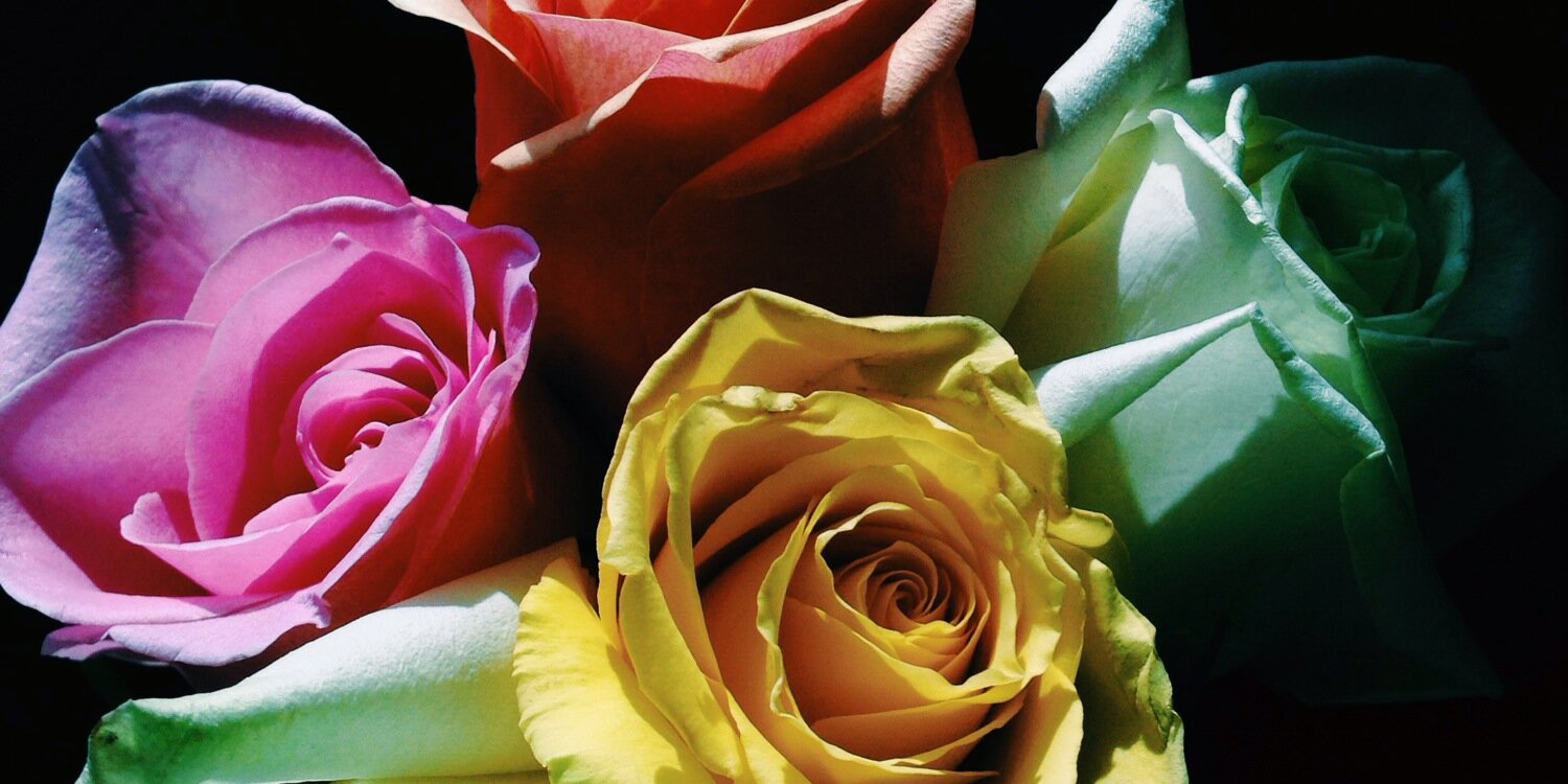 ClaireDehan's profile banner image