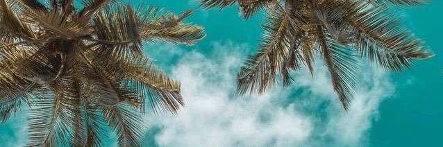 v_valver's profile banner image