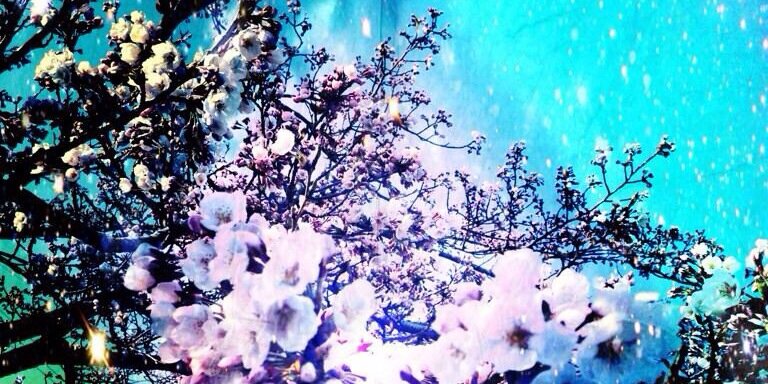 _____llO3a's profile banner image