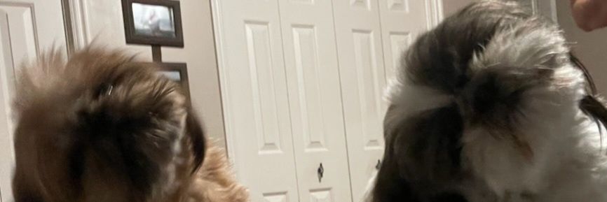 Cabo 🏝 Steve 🍻 banner