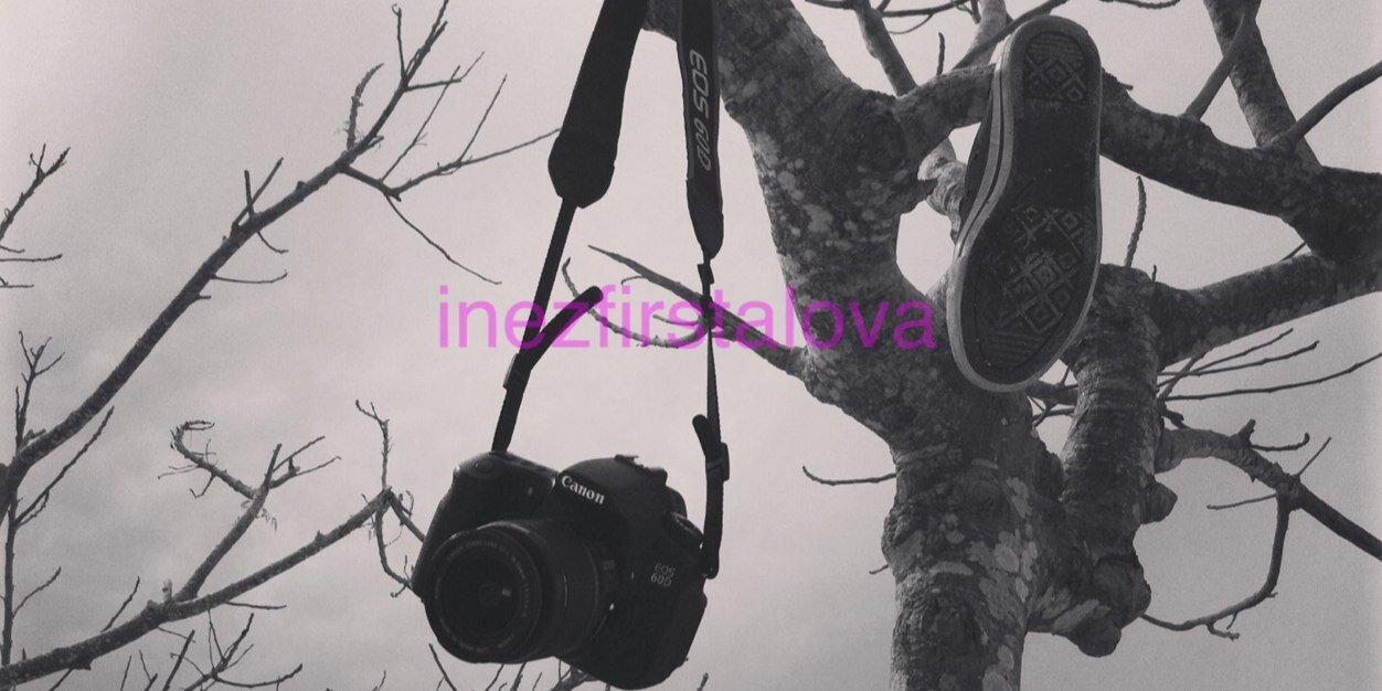inezfirstalova's profile banner image
