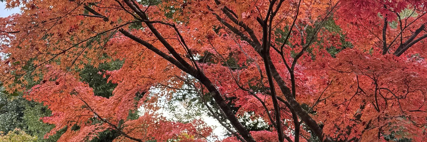 tienuhh's profile banner image