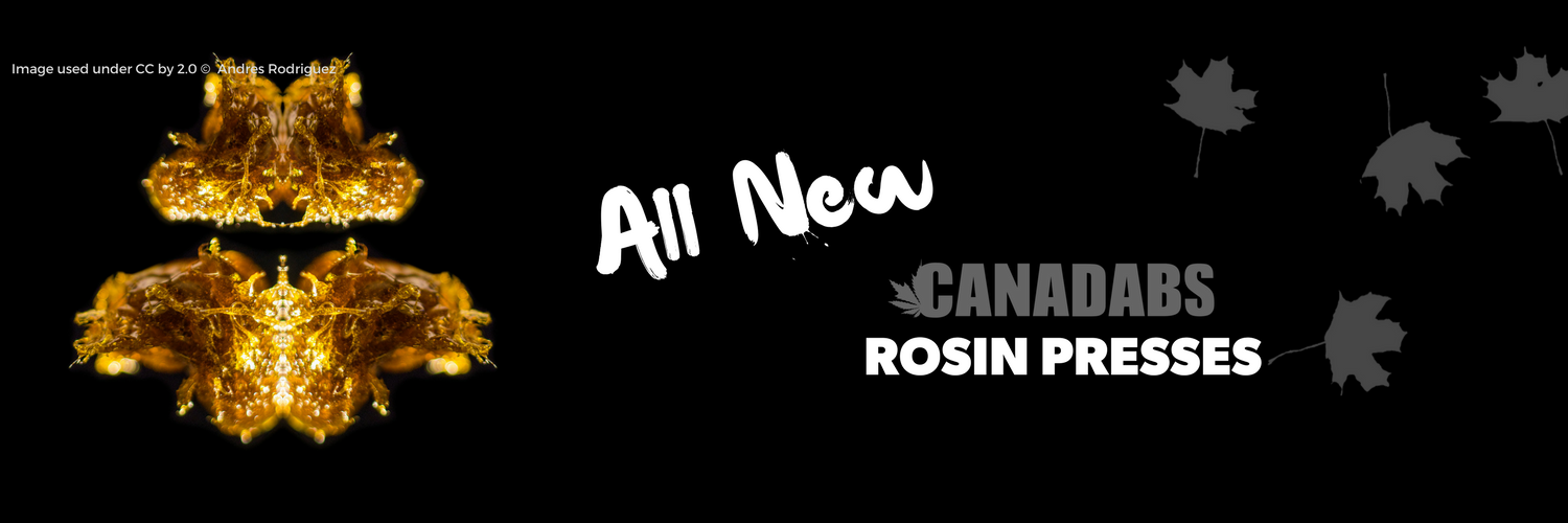 ohcanadabs's profile banner image