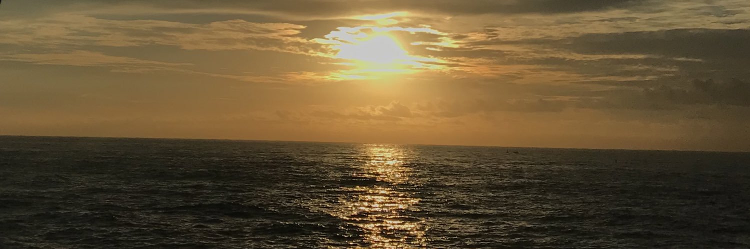 soreilly_'s profile banner image